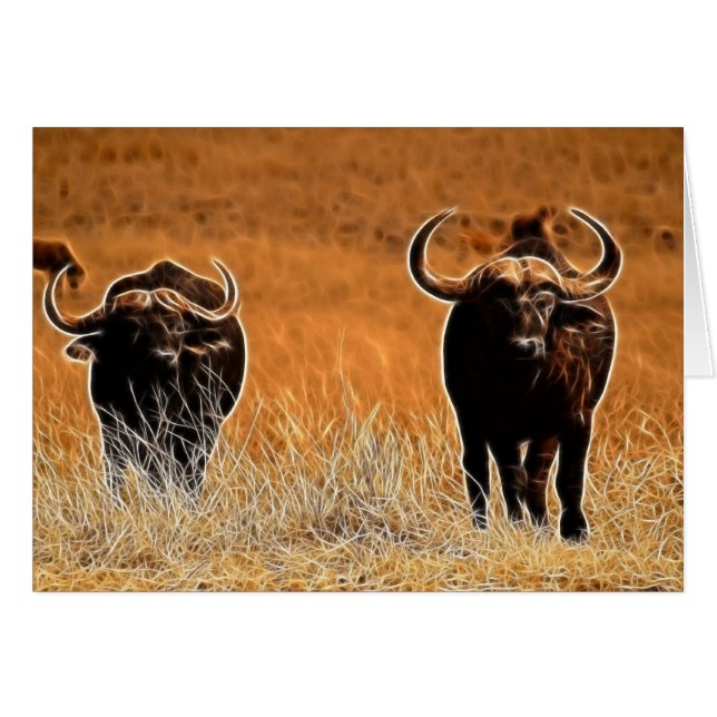 African Buffalo (Vorderseite (Horizontal))