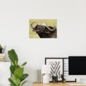 African Buffalo, Syncerus caffer, stehend in Poster (Heimbüro)