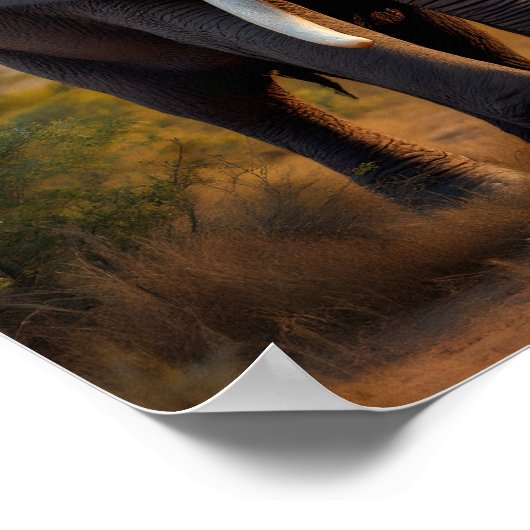 African Bull Elephant Poster (Ecke)