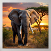 African Bull Elephant Poster (Vorne)
