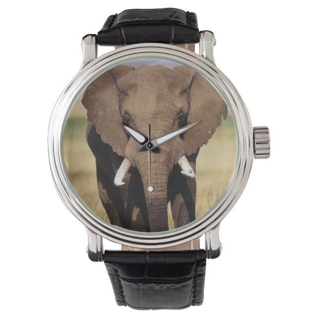 African Bush Elephant Armbanduhr (Vorderseite)