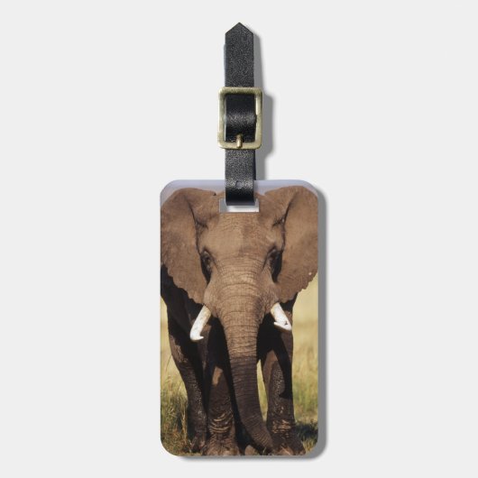 African Bush Elephant Gepäckanhänger (Vorderseite vertikal)