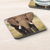 African Bush Elephant Getränkeuntersetzer (Linke Seite)
