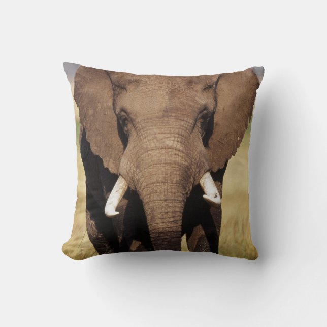 African Bush Elephant Kissen (Vorderseite)
