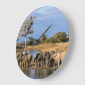 African Bush Elephant (Loxodonta Africana) Herd Große Wanduhr (Winkel)