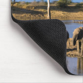 African Bush Elephant (Loxodonta Africana) Herd Mousepad (Ecke)