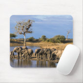 African Bush Elephant (Loxodonta Africana) Herd Mousepad (Mit Mouse)