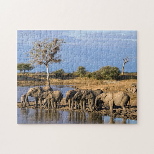African Bush Elephant (Loxodonta Africana) Herd Puzzle (Horizontal)