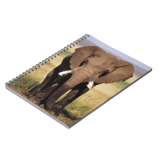 African Bush Elephant Notizblock (Linke Seite)