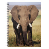 African Bush Elephant Notizblock (Vorderseite)