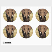 African Bush Elephant Runder Aufkleber (Blatt)