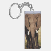 African Bush Elephant Schlüsselanhänger (Vorderseite links)