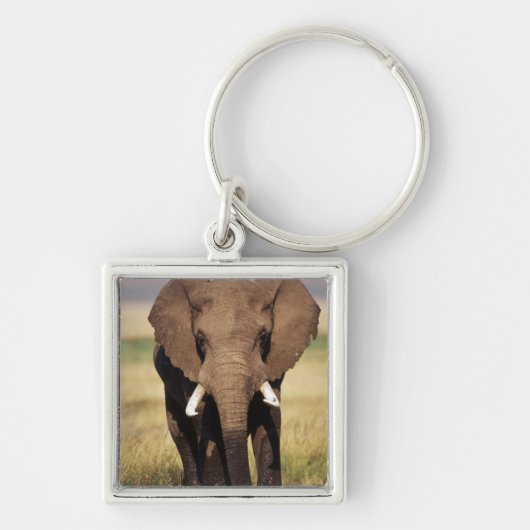 African Bush Elephant Schlüsselanhänger (Vorne)