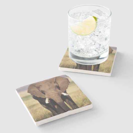 African Bush Elephant Steinuntersetzer (Seitenansicht)