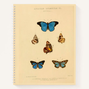 African Butterfly Hardcover Spiral Sketchbook Notizblock
