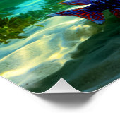 African Cichlids Peacock Cichlid Aquarium Art Poster (Ecke)