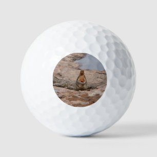 African Crocodile - Masai River Golfball