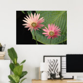 African Daisies Bute Park, Cardiff, Wales Poster (Heimbüro)