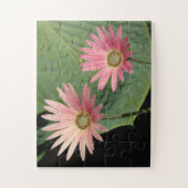 African Daisies Bute Park, Cardiff, Wales Puzzle (Vertikal)