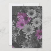 African Daisies Floral Party Einladung (Rückseite)