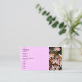 African Daisies Flower Fotografy Business Card Visitenkarte (Stehend Vorderseite)