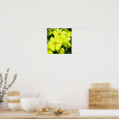 African Daisies Print Poster (Küche)