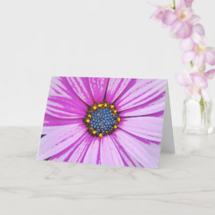 African Daisy Art Pink Blume Note Card Karte