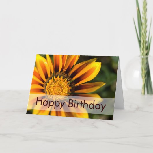 African Daisy • Birthday Card Karte (Vorderseite)