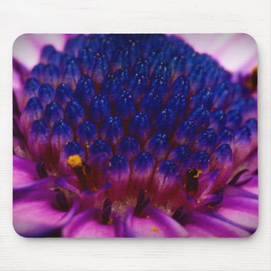 African Daisy Blossom Mousepad (Vorne)