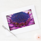African Daisy Blossom Rectangle Sticker (Umschlag)