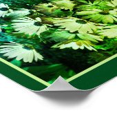 African Daisy Blume Mirror Abstrakt Poster (Ecke)