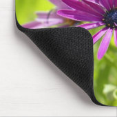 African Daisy Blume Mousepad (Ecke)