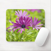 African Daisy Blume Mousepad (Mit Mouse)