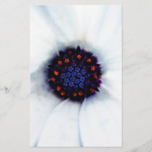 African Daisy Briefpapier (Vorderseite)