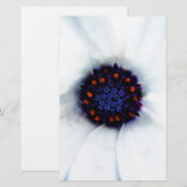 African Daisy Briefpapier (Vorne/Hinten)
