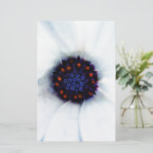 African Daisy Briefpapier (Stehend Vorderseite)
