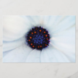 African Daisy Briefpapier