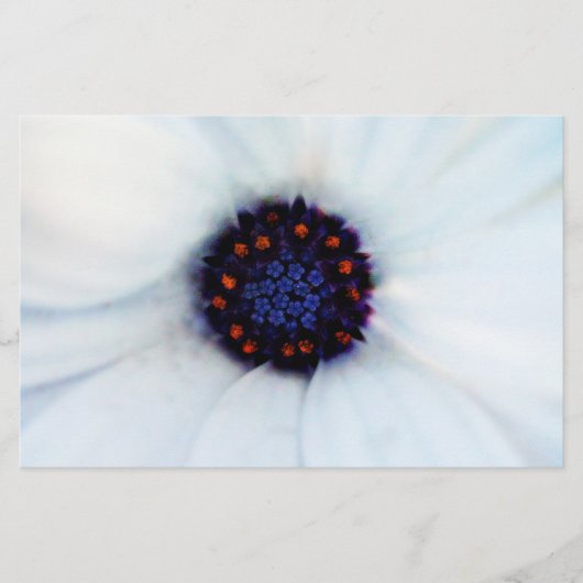 African Daisy Briefpapier (Vorderseite)