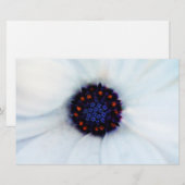 African Daisy Briefpapier (Vorne/Hinten)