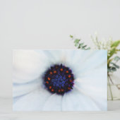 African Daisy Briefpapier (Stehend Vorderseite)