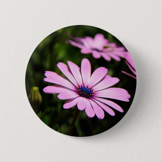 African Daisy Button (Vorderseite)