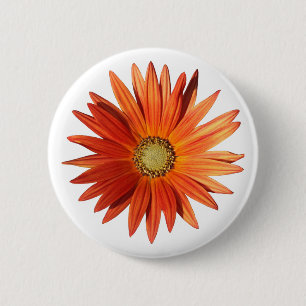 African Daisy Button