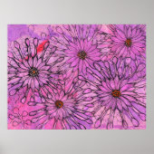 African Daisy Cape Daisies Pink Blume Blumenstrauß Poster (Vorne)