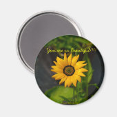 African Daisy Circle Magnet (Vorderseite/Rückseite)