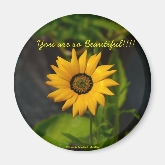 African Daisy Circle Magnet (Vorne)