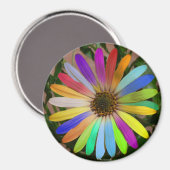 African Daisy Colorful-Magnet Magnet (Vorderseite/Rückseite)