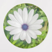 African Daisy Etiketten (Design 1)