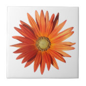 African Daisy Fliese (Vorderseite)