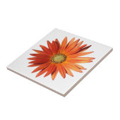 African Daisy Fliese (Seite)