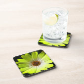 African Daisy Fluorescent Yellow Cork Untersetzer (Rechte Seite)
